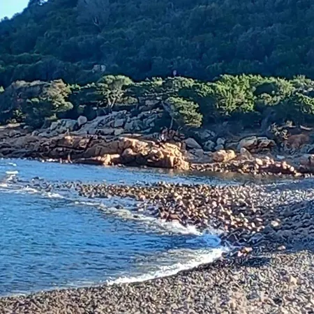 Casa In Paese Lägenhet Bari Sardo